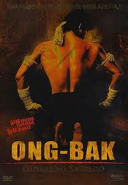 ong back-guerreiro sagrado